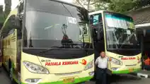  Mau Libur Tahun Baru ke Surabaya dan Jogja? Ini Harga Tiket Busnya