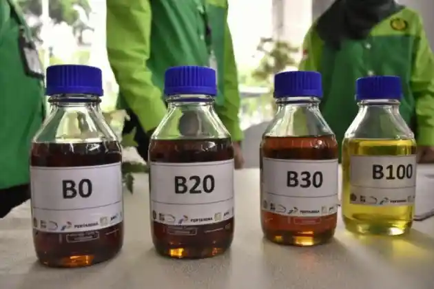 Foto - Penggunaan Biodiesel B35 Dimulai pada 1 Februari 2023