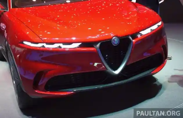 Foto - Inilah SUV Pertama Alfa Romeo