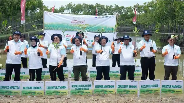 Foto - Pabrik Toyota Indonesia Tanam 70 Ribu Mangrove di Brebes