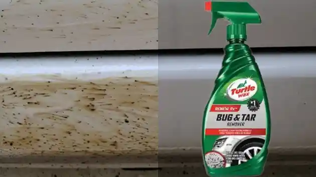 Foto - Cara Bersihkan Bodi Mobil Dari Serangga, Tidak Rumit