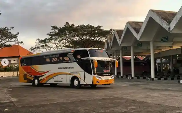 Foto - Banyak PO Baru, Bus Bali ke Jawa Timur Makin Marak