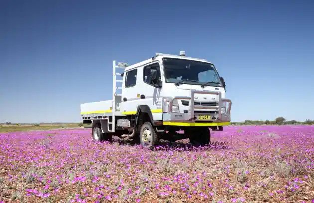 Foto - Fuso Rayakan 50 tahun Canter di Australia, Ini Sekilas Kisahnya