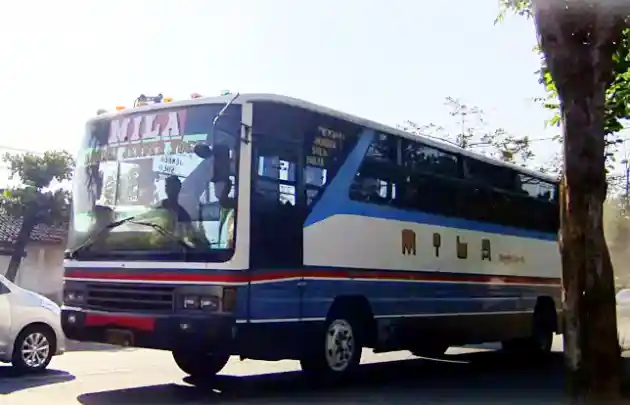 Foto - Obat Rindu, Bus Mila Sejahtera Bangkit Pakai Livery Legendaris