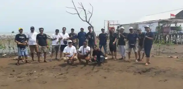 Foto - Indonesian Starlet Club Gelar Munas Sambil Tanam Mangrove di Pantai Indramayu