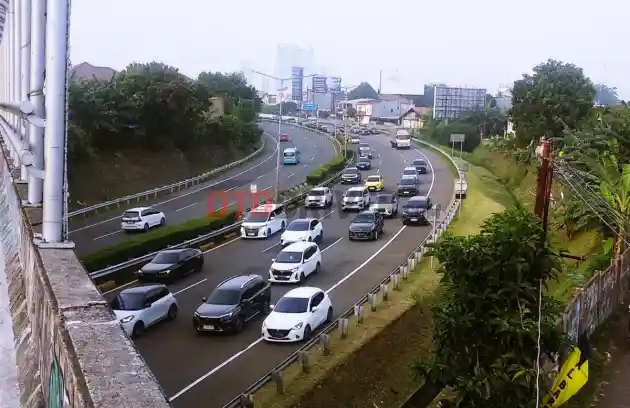 Foto - Berangkat Dari Kejadian Lexus Tertimpa Pohon, Ini Beberapa Hal Yang Perlu Dicermati