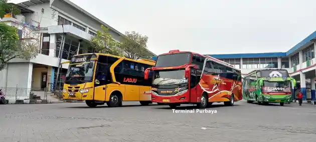 Foto - Kelangkaan Pengemudi Bus Sudah Di Tahap ‘Meresahkan’