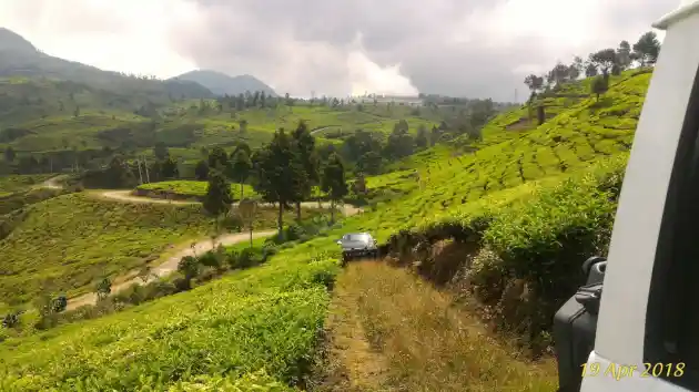 Foto - Komunitas Chevrolet Trooper Terabas Kebun Teh Ciwidey, Ada Apa?