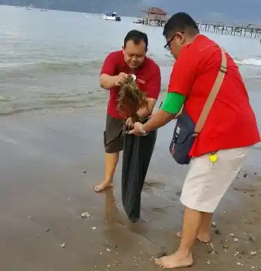 Foto - Innova Community Rela Pungut Sampah di Pantai Agar Jadi Contoh Baik