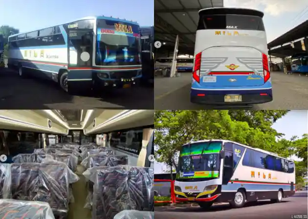 Foto - Obat Rindu, Bus Mila Sejahtera Bangkit Pakai Livery Legendaris