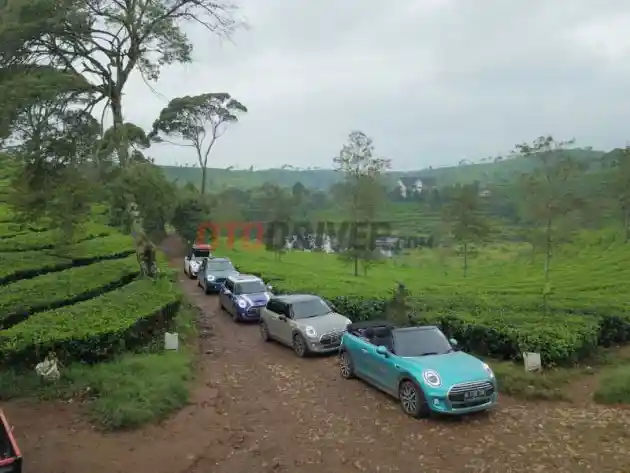 Foto - Arungi Jalan Berkelok Dan Berbatu Pakai MINI Demi Momen Sunrise