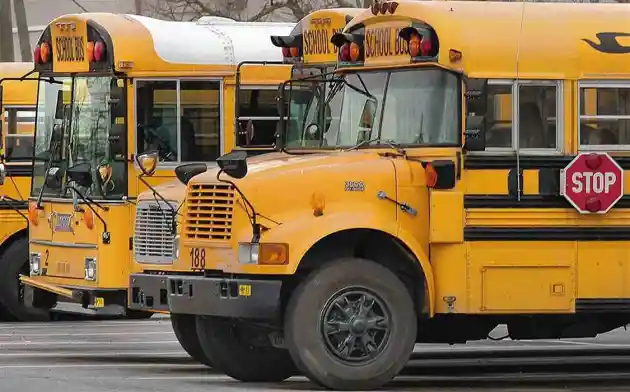 Foto - Bus Sekolah Berwarna Kuning Karena Hal Ini