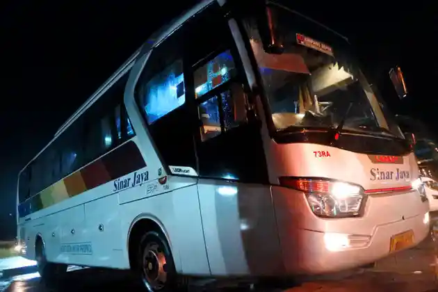 Foto - Naik Bus Dapat Makan Gratis? Kenali Kelas dan Jurusannya