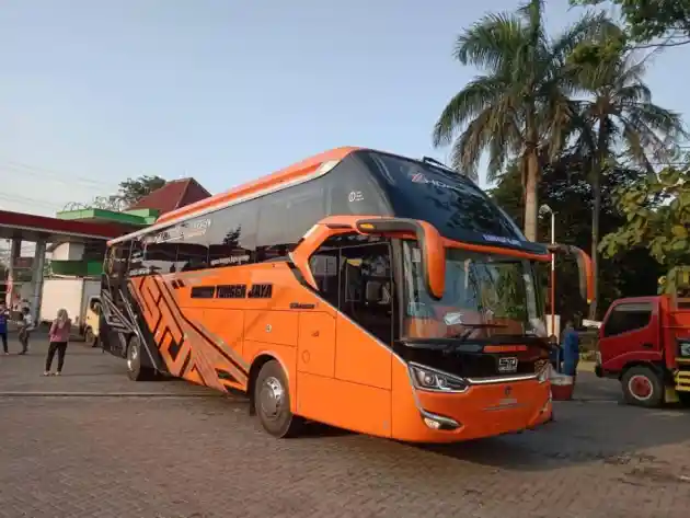 Foto - Bus 'Pengangkut Motor' Muji Jaya dan Sudiro Tungga Jaya Dirilis Bersamaan