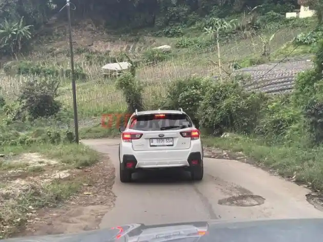 Foto - Beberapa Keunggulan Mobil Subaru Ketimbang Kompetitornya di Indonesia