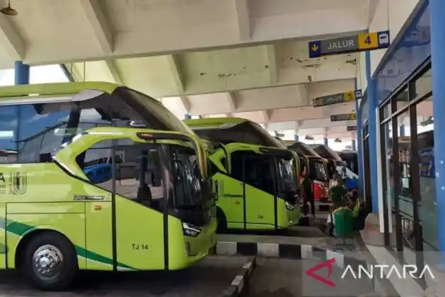 Foto - Inilah Jumlah Bus Bulan Juli 2024