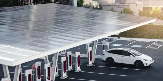 Foto - Tesla Luncurkan Fitur Baru Bernama Charge on Solar, Apa Itu?