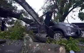 Foto - Musim Hujan Plus Angin Kencang: Hindari Parkir di Area Berikut Ini