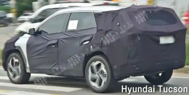 Foto - SPY SHOT: Hyundai Tucson Generasi Keempat Tawarkan Kursi 7 Penumpang