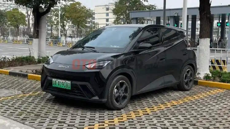 BYD Enggan Bawa Mobil Listrik Murah Ke Indonesia